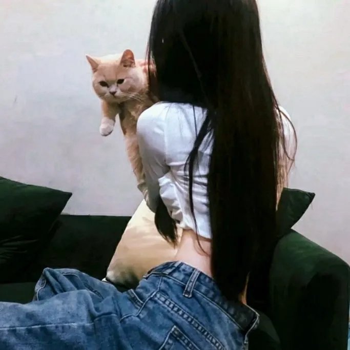 南极穿越